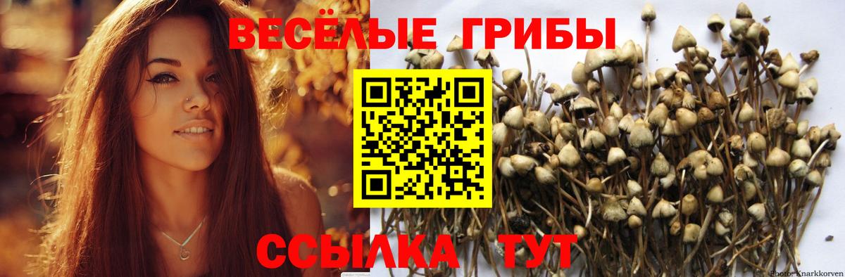 Псилоцибиновые грибы мухоморы Волгодонск